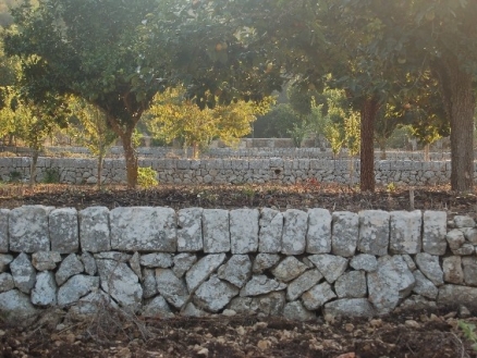 Felanitx&nbsp;property:&nbsp;Villa&nbsp;with&nbsp;5&nbsp;bedroom&nbsp;in&nbsp;Felanitx,&nbsp;Spain&nbsp;131269