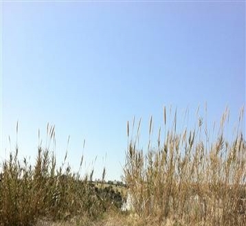 Benahavis&nbsp;property:&nbsp;Land&nbsp;in&nbsp;Malaga&nbsp;for&nbsp;sale&nbsp;131845