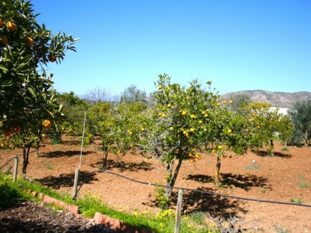 Alhaurin&nbsp;De&nbsp;La&nbsp;Torre&nbsp;property:&nbsp;Alhaurin&nbsp;De&nbsp;La&nbsp;Torre,&nbsp;Spain&nbsp;|&nbsp;Villa&nbsp;for&nbsp;sale&nbsp;132108