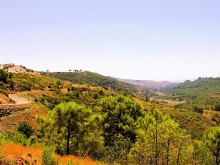 Benahavis&nbsp;property:&nbsp;Malaga&nbsp;Villa&nbsp;132358