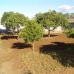 La&nbsp;Quinta&nbsp;property:&nbsp;Malaga,&nbsp;Spain&nbsp;Land&nbsp;132496