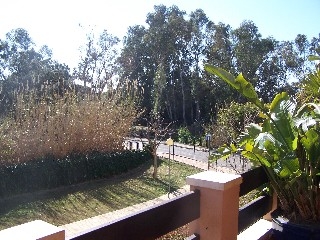 Carib&nbsp;Playa&nbsp;property:&nbsp;Carib&nbsp;Playa,&nbsp;Spain&nbsp;|&nbsp;Apartment&nbsp;for&nbsp;sale&nbsp;133882