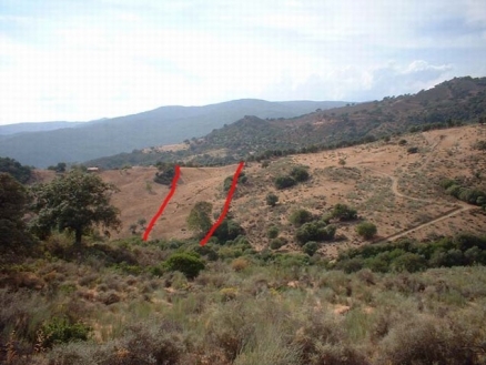 Cortes&nbsp;De&nbsp;La&nbsp;Frontera&nbsp;property:&nbsp;Land&nbsp;for&nbsp;sale&nbsp;in&nbsp;Cortes&nbsp;De&nbsp;La&nbsp;Frontera&nbsp;133994