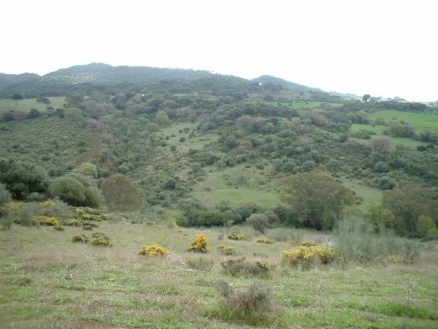 Cortes&nbsp;De&nbsp;La&nbsp;Frontera&nbsp;property:&nbsp;Land&nbsp;for&nbsp;sale&nbsp;in&nbsp;Cortes&nbsp;De&nbsp;La&nbsp;Frontera,&nbsp;Spain&nbsp;133994