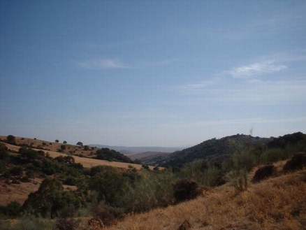 Cortes&nbsp;De&nbsp;La&nbsp;Frontera&nbsp;property:&nbsp;Land&nbsp;with&nbsp;bedroom&nbsp;in&nbsp;Cortes&nbsp;De&nbsp;La&nbsp;Frontera&nbsp;133994