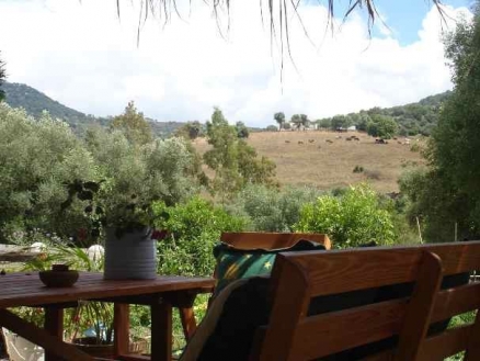 Cortes&nbsp;De&nbsp;La&nbsp;Frontera&nbsp;property:&nbsp;Villa&nbsp;for&nbsp;sale&nbsp;in&nbsp;Cortes&nbsp;De&nbsp;La&nbsp;Frontera,&nbsp;Spain&nbsp;133995