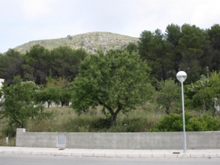 Alcalali&nbsp;property:&nbsp;Land&nbsp;for&nbsp;sale&nbsp;in&nbsp;Alcalali&nbsp;134344