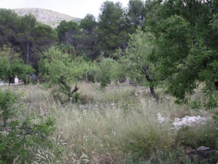 Alcalali&nbsp;property:&nbsp;Land&nbsp;with&nbsp;bedroom&nbsp;in&nbsp;Alcalali&nbsp;134344