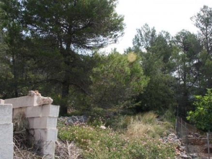 Alcalali&nbsp;property:&nbsp;Land&nbsp;with&nbsp;bedroom&nbsp;in&nbsp;Alcalali&nbsp;134371