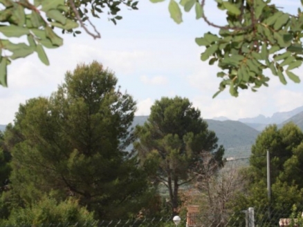 Alcalali&nbsp;property:&nbsp;Land&nbsp;for&nbsp;sale&nbsp;in&nbsp;Alcalali,&nbsp;Alicante&nbsp;134371