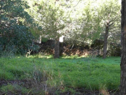 Alhaurin&nbsp;De&nbsp;La&nbsp;Torre&nbsp;property:&nbsp;Land&nbsp;for&nbsp;sale&nbsp;in&nbsp;Alhaurin&nbsp;De&nbsp;La&nbsp;Torre,&nbsp;Spain&nbsp;134663