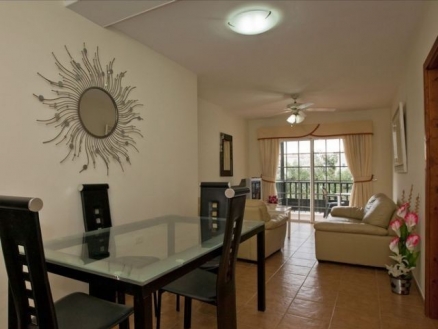 Tenerife&nbsp;Studio&nbsp;135593