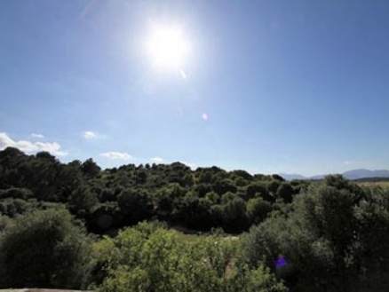 Santa&nbsp;Margalida&nbsp;property:&nbsp;Mallorca&nbsp;property&nbsp;|&nbsp;4&nbsp;bedroom&nbsp;Villa&nbsp;136545