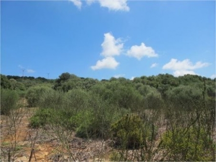 Campos&nbsp;property:&nbsp;Land&nbsp;with&nbsp;bedroom&nbsp;in&nbsp;Campos&nbsp;136548