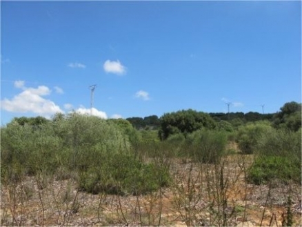 Campos&nbsp;property:&nbsp;Land&nbsp;with&nbsp;bedroom&nbsp;in&nbsp;Campos,&nbsp;Spain&nbsp;136548