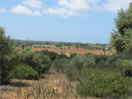 Campos&nbsp;property:&nbsp;Mallorca&nbsp;property&nbsp;|&nbsp;bedroom&nbsp;Land&nbsp;136548