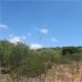 Campos&nbsp;property:&nbsp;Campos,&nbsp;Spain&nbsp;Land&nbsp;136548