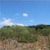Campos&nbsp;property:&nbsp;bedroom&nbsp;Land&nbsp;in&nbsp;Mallorca&nbsp;136548