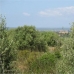 Campos&nbsp;property:&nbsp;Land&nbsp;in&nbsp;Campos&nbsp;136548