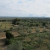 Campos&nbsp;property:&nbsp;Mallorca&nbsp;Land,&nbsp;Spain&nbsp;136553