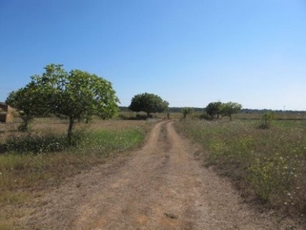 Campos&nbsp;property:&nbsp;Villa&nbsp;in&nbsp;Mallorca&nbsp;for&nbsp;sale&nbsp;136557