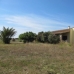 Campos&nbsp;property:&nbsp;&nbsp;Villa&nbsp;in&nbsp;Mallorca&nbsp;136557