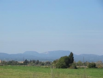 Campos&nbsp;property:&nbsp;Land&nbsp;for&nbsp;sale&nbsp;in&nbsp;Campos,&nbsp;Spain&nbsp;136562