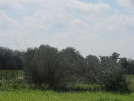 Campos&nbsp;property:&nbsp;Land&nbsp;with&nbsp;bedroom&nbsp;in&nbsp;Campos,&nbsp;Spain&nbsp;136562