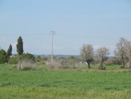 Campos&nbsp;property:&nbsp;Land&nbsp;for&nbsp;sale&nbsp;in&nbsp;Campos,&nbsp;Mallorca&nbsp;136562