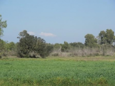 Campos&nbsp;property:&nbsp;Land&nbsp;in&nbsp;Mallorca&nbsp;for&nbsp;sale&nbsp;136562