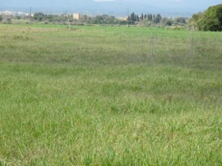 Campos&nbsp;property:&nbsp;Mallorca&nbsp;Land&nbsp;136562