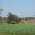 Campos&nbsp;property:&nbsp;Land&nbsp;in&nbsp;Campos&nbsp;136562