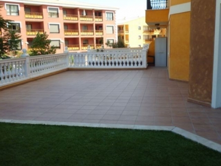 Tenerife&nbsp;Studio&nbsp;137059