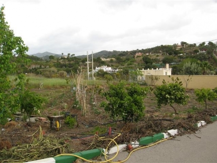 town&nbsp;Villa&nbsp;137097