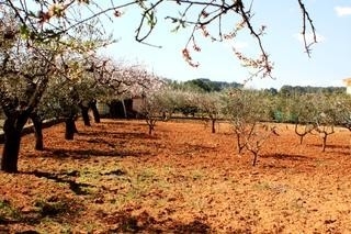 Villa&nbsp;for&nbsp;sale&nbsp;in&nbsp;town,&nbsp;Alicante&nbsp;140308