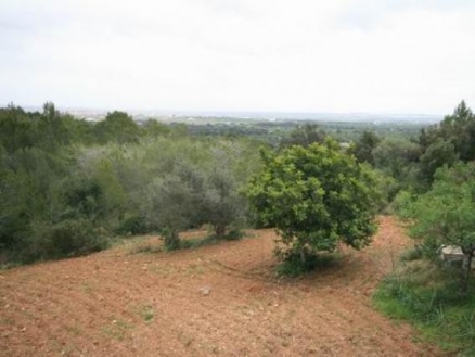 Buger&nbsp;property:&nbsp;Villa&nbsp;in&nbsp;Mallorca&nbsp;for&nbsp;sale&nbsp;140743