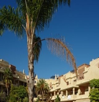 Apartment&nbsp;for&nbsp;sale&nbsp;in&nbsp;town,&nbsp;Spain&nbsp;140780