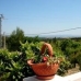 Ontinyent&nbsp;property:&nbsp;3&nbsp;bedroom&nbsp;Villa&nbsp;in&nbsp;Valencia&nbsp;140836