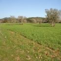 Felanitx&nbsp;property:&nbsp;Land&nbsp;for&nbsp;sale&nbsp;in&nbsp;Felanitx&nbsp;141837