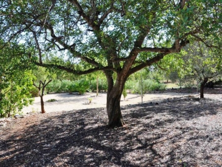 Lliber&nbsp;property:&nbsp;Villa&nbsp;with&nbsp;5&nbsp;bedroom&nbsp;in&nbsp;Lliber&nbsp;142851