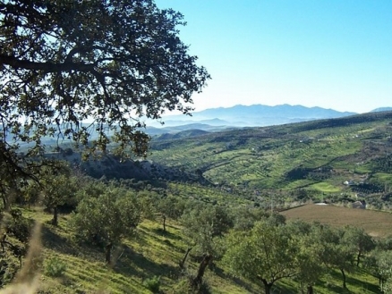 Casarabonela&nbsp;property:&nbsp;Villa&nbsp;for&nbsp;sale&nbsp;in&nbsp;Casarabonela&nbsp;145612