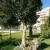 Torremolinos&nbsp;property:&nbsp;Beautiful&nbsp;Apartment&nbsp;for&nbsp;sale&nbsp;in&nbsp;Torremolinos&nbsp;145632