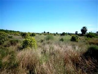 Denia property: Land for sale in Denia 150574