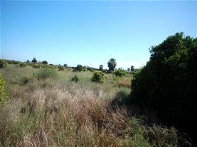 Denia property: Land for sale in Denia, Spain 150574