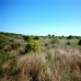 Denia property: Alicante, Spain Land 150574