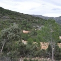 Castell De Castells property: Land for sale in Castell De Castells 150680