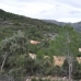 Castell De Castells property: Land for sale in Castell De Castells 150680