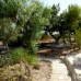 Albatera property: Albatera, Spain Villa 150845