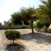Albatera property: 4 bedroom Villa in Albatera, Spain 150845
