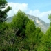 Javea property: Javea, Spain Villa 150904